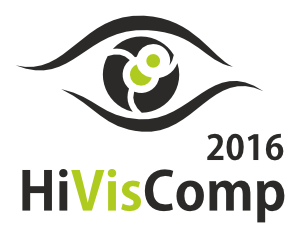 HiVisComp - High Visual Computing 2016