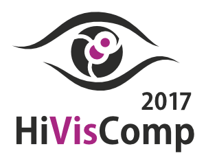 HiVisComp - High Visual Computing 2017